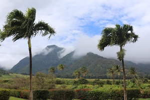 Maui Plantation